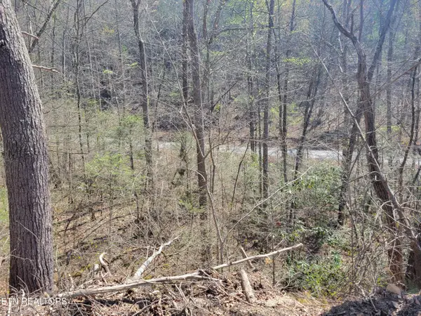 Lot 25 Alpine Drive, Sevierville, TN 37876