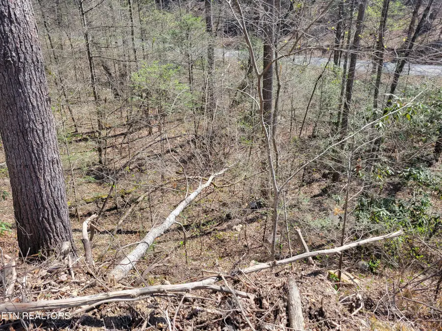 Lot 25 Alpine Drive, Sevierville, TN 37876 - #2