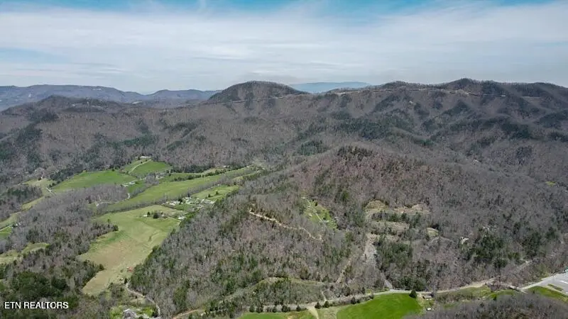 Wears Valley Rd, Townsend, TN 37882 - #2