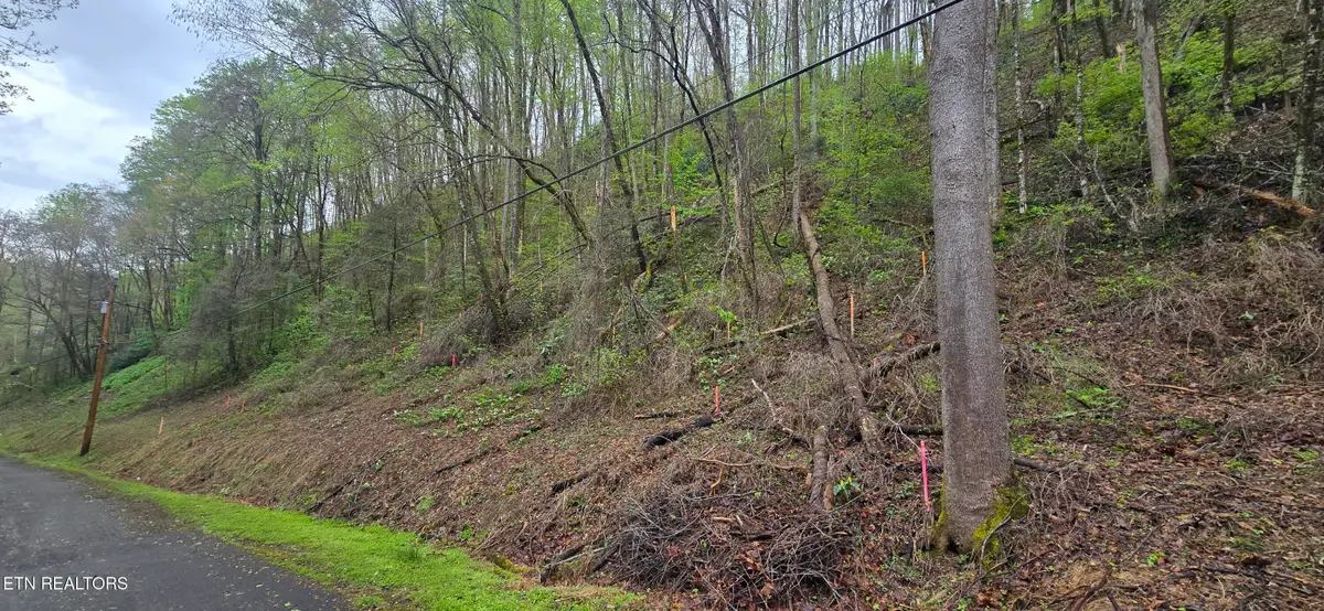 0 Black Walnut Flats Rd, Sevierville, TN 37862 - #1