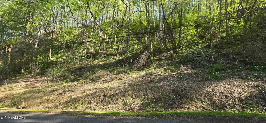 0 Black Walnut Flats Rd, Sevierville, TN 37862 - #2