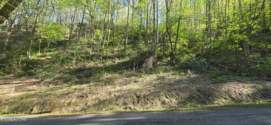 0 Black Walnut Flats Rd, Sevierville, TN 37862 - #3