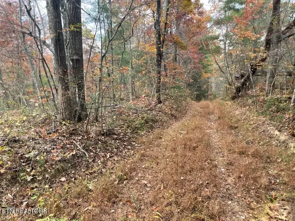 Gunter Place, Sunbright, TN 37872