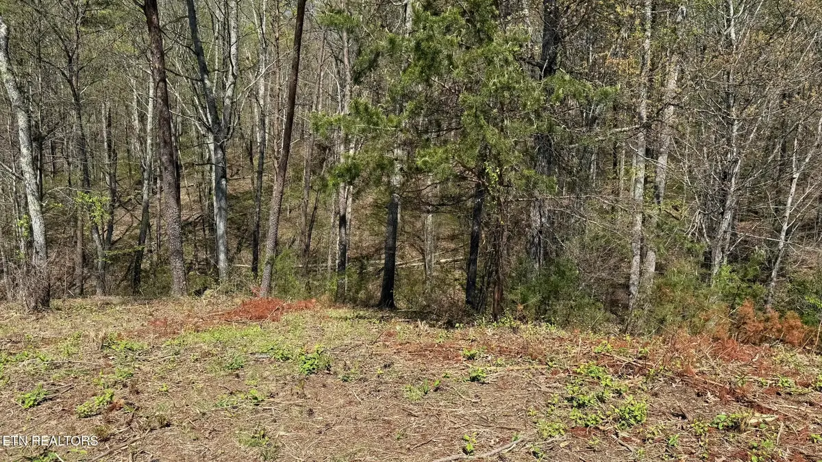 475 Bayside Blvd, Bean Station, TN 37708 - #1