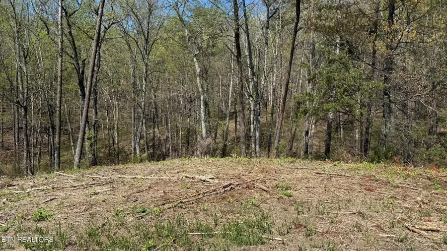 475 Bayside Blvd, Bean Station, TN 37708 - #2