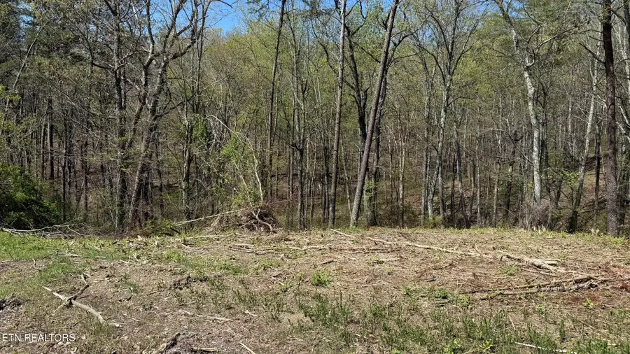 475 Bayside Blvd, Bean Station, TN 37708 - #3