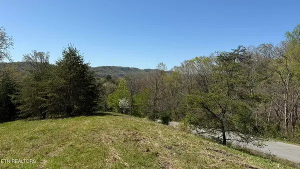 Lot 52 Bayside Blvd, Bean Station, TN 37708