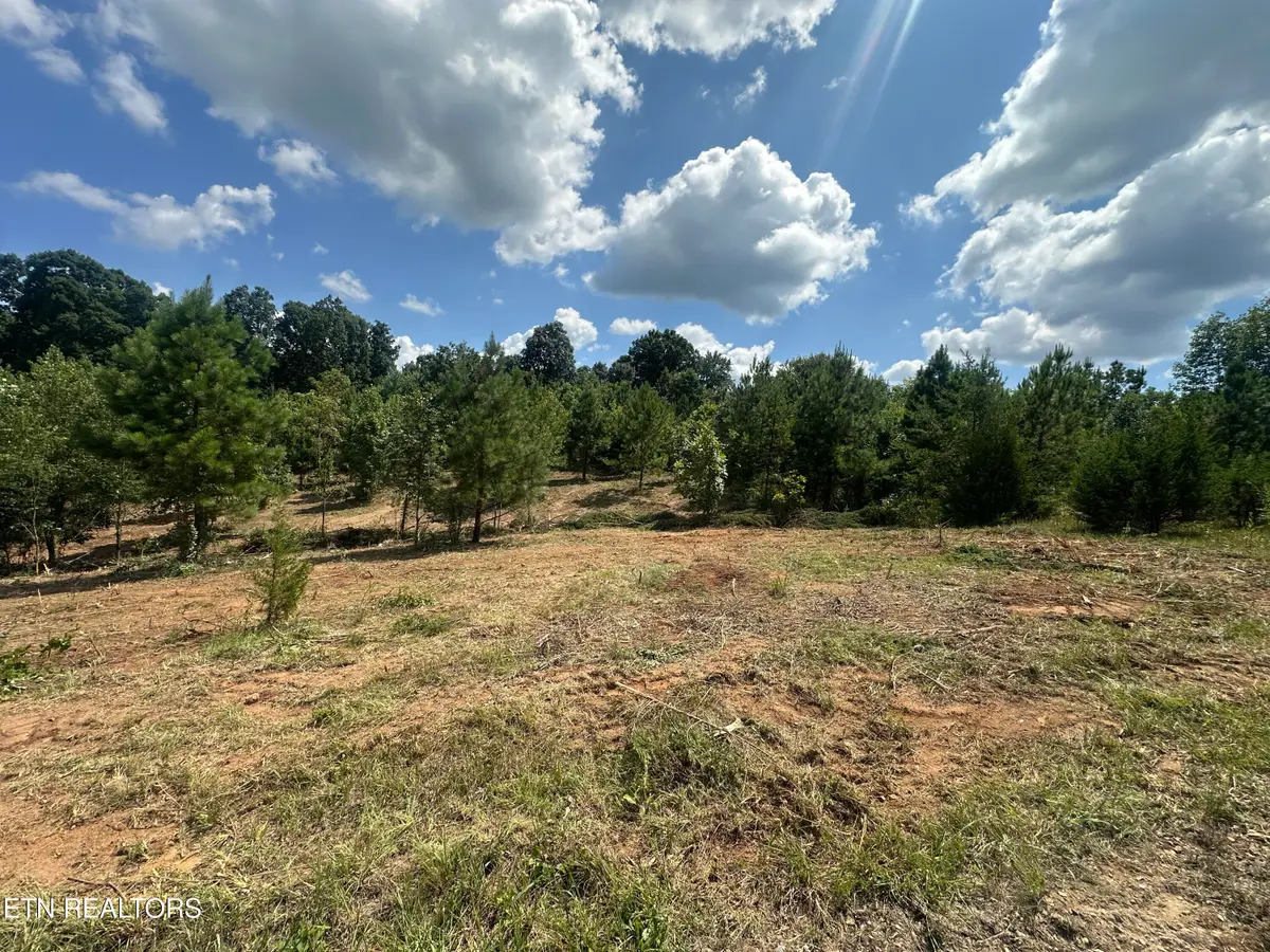 487 Julip Lane, Philadelphia, TN 37846 - #1