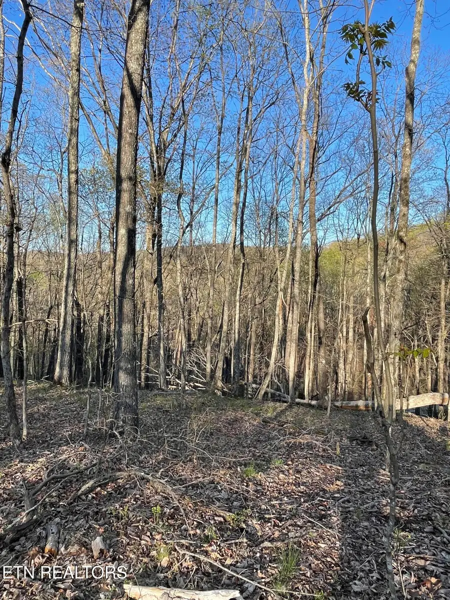 147 Havenridge Circle, Crossville, TN 38558 - #2