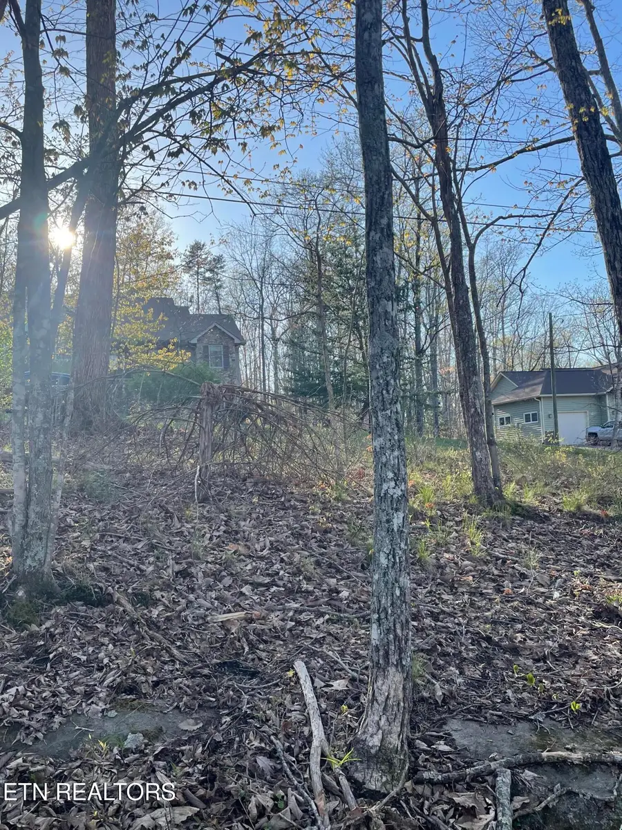 147 Havenridge Circle, Crossville, TN 38558 - #3