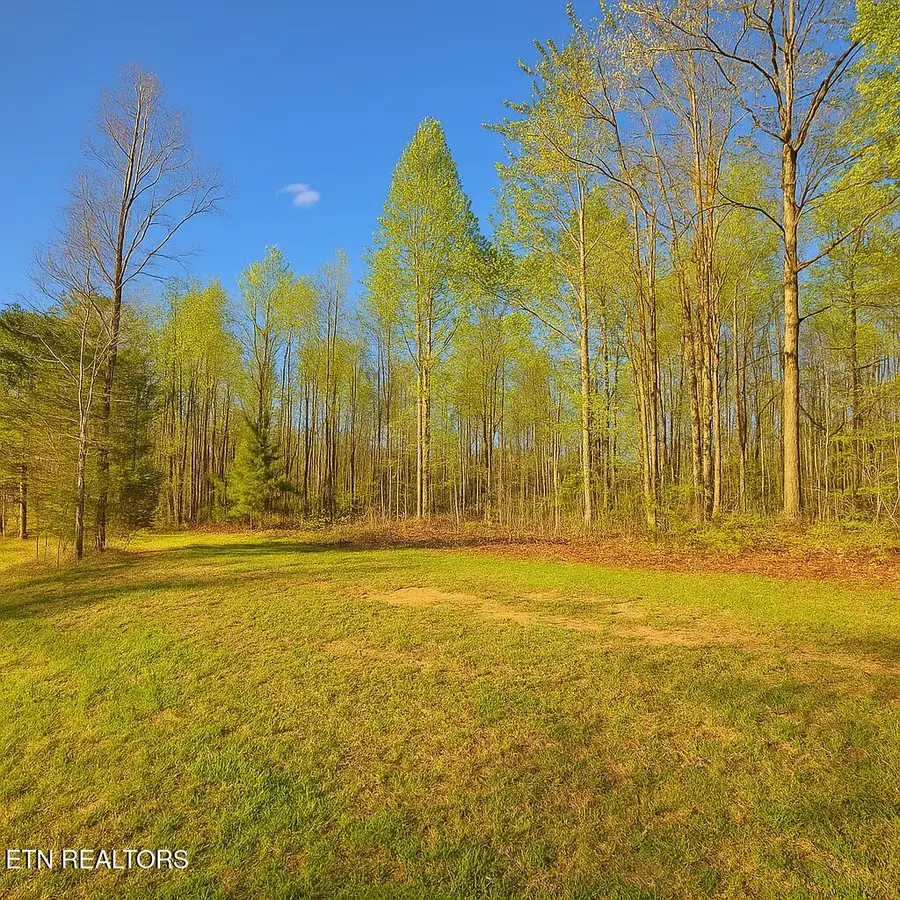 50184 Buckeye Lane, Crawford, TN 38554 - #3