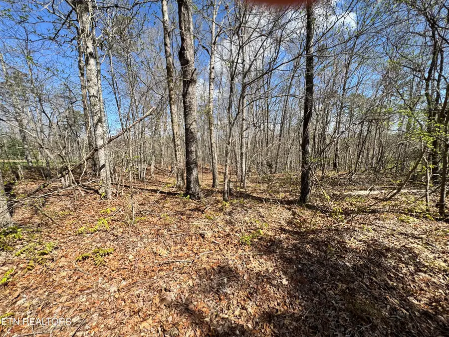 Smith Hall Rd, Jamestown, TN 38556 - #3