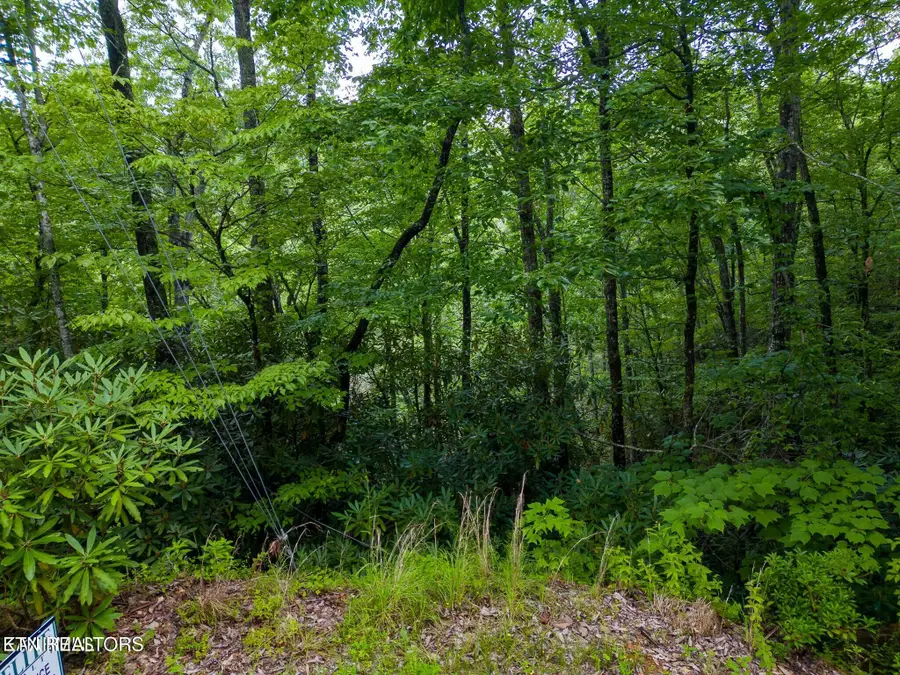 Black Gum Gap Rd, Gatlinburg, TN 37738 - #3