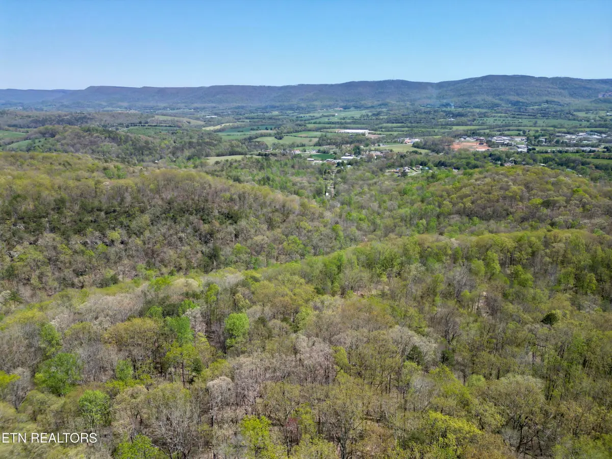 Old Spencer Rd. - 172 Acres, Pikeville, TN 37367 - #1