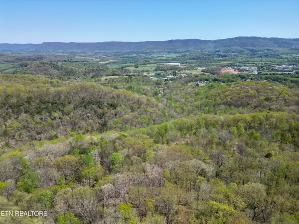 Old Spencer Rd. - 172 Acres, Pikeville, TN 37367