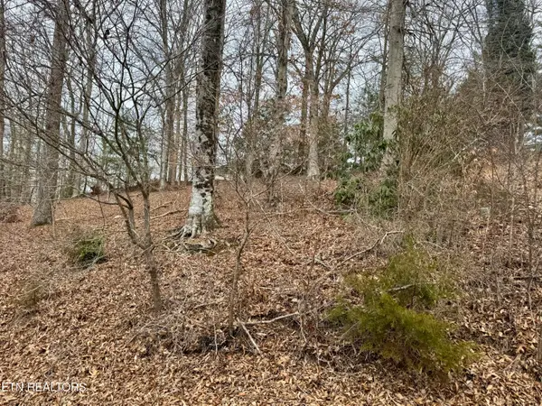 Madison Circle, Harrogate, TN 37752