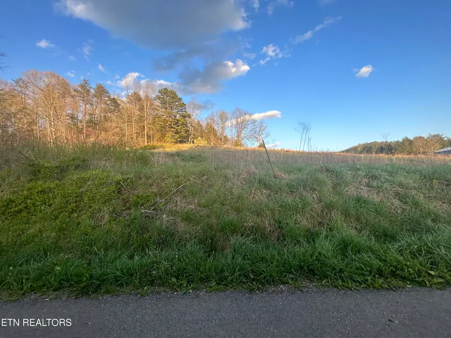 Frog Level Rd, Ewing, VA 24248 - #3