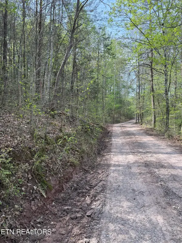 Citico Rd, Vonore, TN 37885