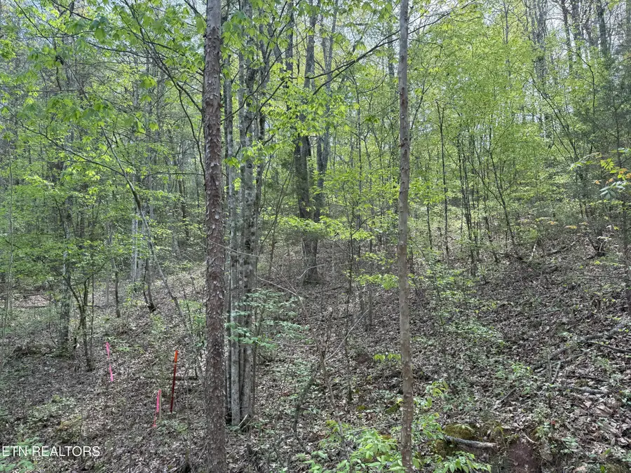 Citico Rd, Vonore, TN 37885 - #2