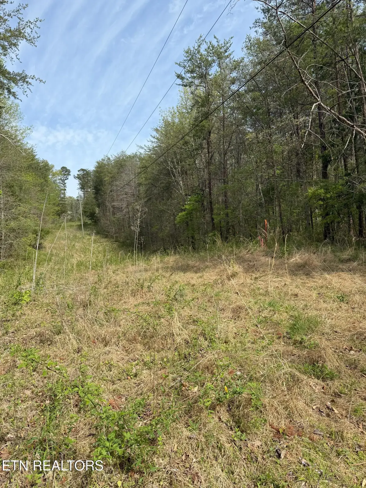 Citico Rd, Vonore, TN 37885 - #1