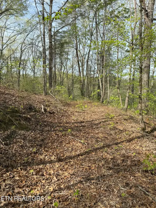 Citico Rd, Vonore, TN 37885