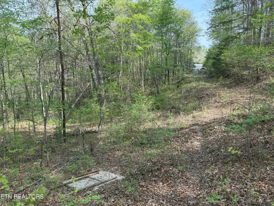 Citico Rd, Vonore, TN 37885 - #2