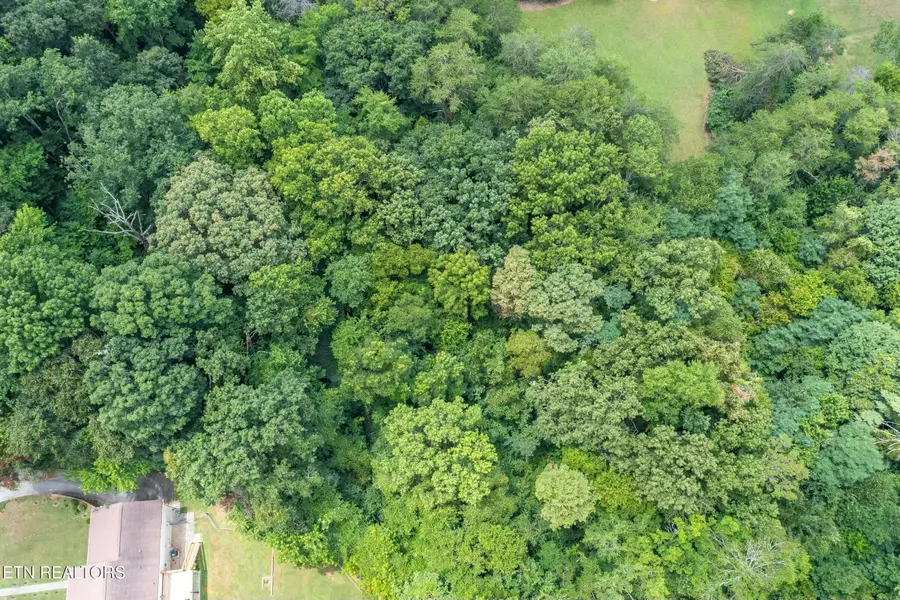 4705 Pleasant Ridge Rd, Knoxville, TN 37912 - #3