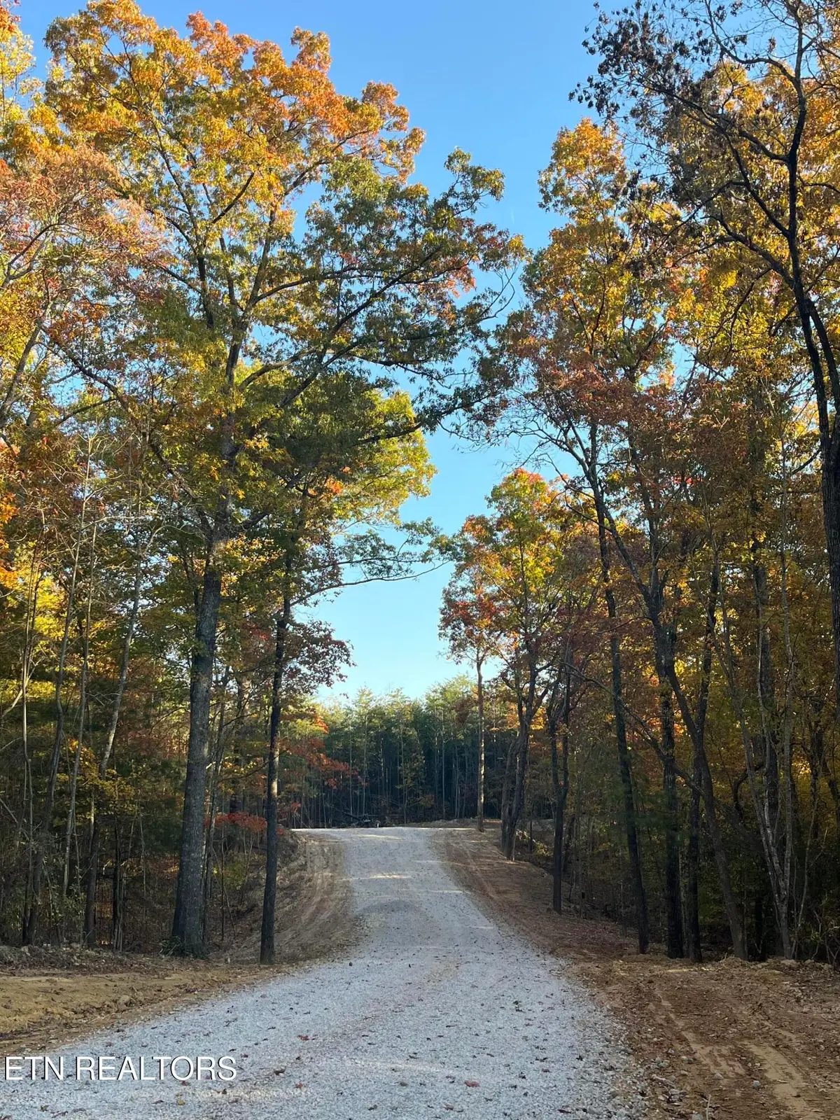 111 Cherokee Path, Tellico Plains, TN 37385 - #1