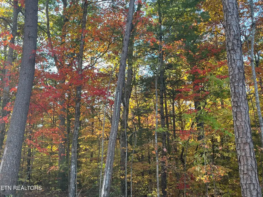 111 Cherokee Path, Tellico Plains, TN 37385 - #2