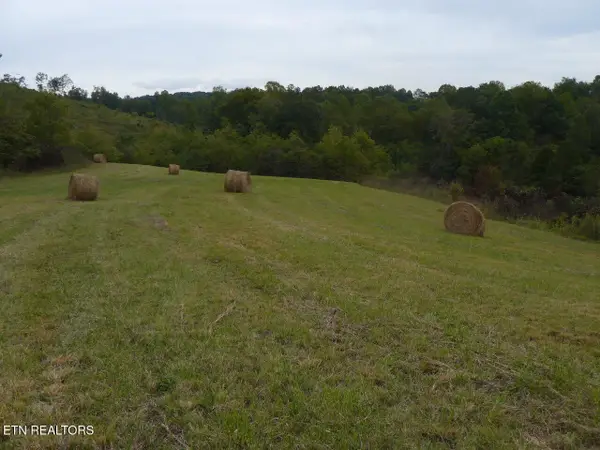 132 Acres Leabow Hollow Rd, Tazewell, TN 37879