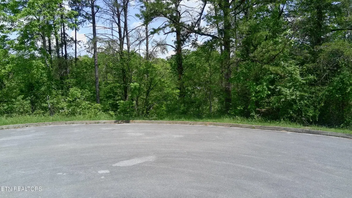Lot 10 Antler Ridge, Dandridge, TN 37725 - #1