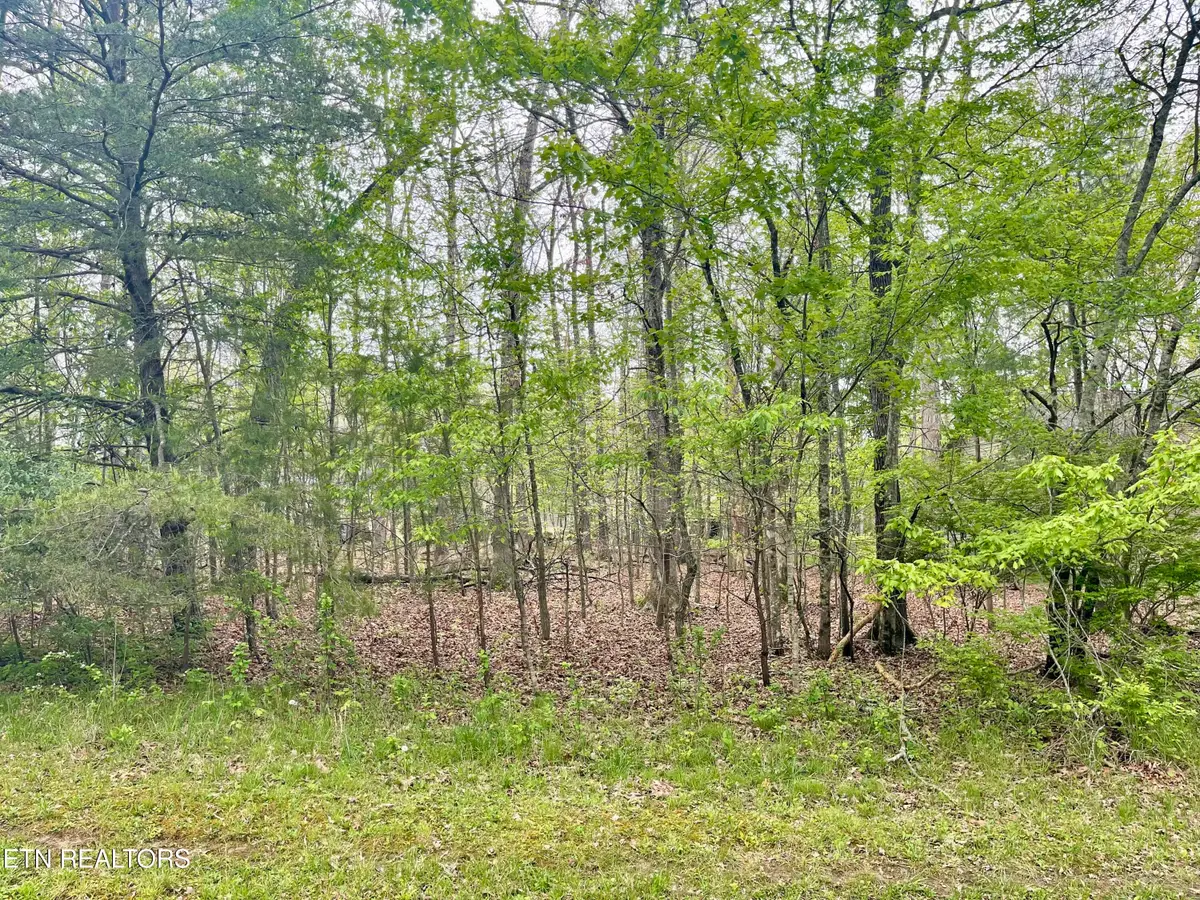 111 Rutgers Circle, Crossville, TN 38558 - #1