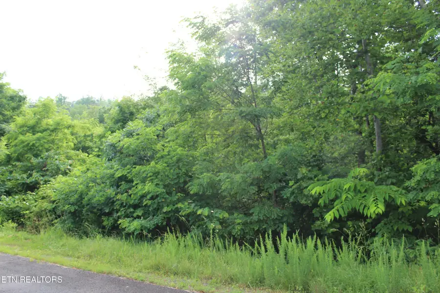 Graphite Court, New Tazewell, TN 37825 - #3