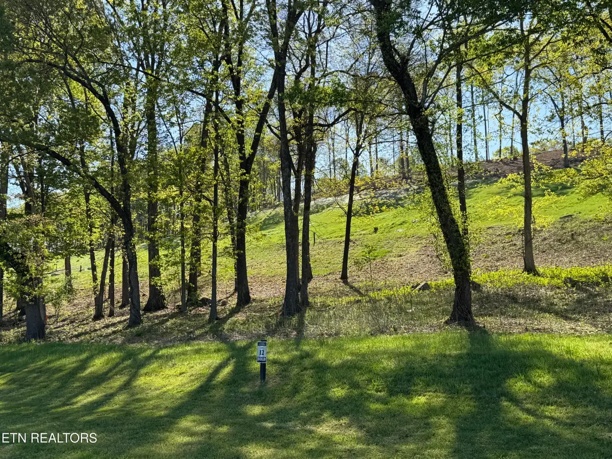 1031 Black Cove Lane, Loudon, TN 37774 - #1