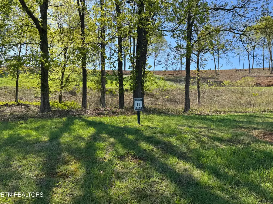 1031 Black Cove Lane, Loudon, TN 37774 - #2