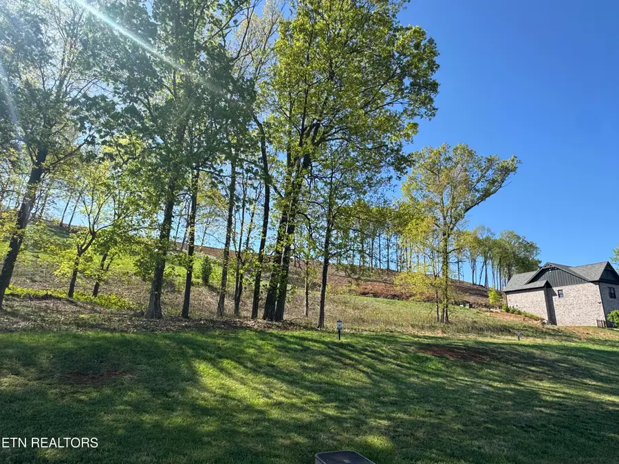 1031 Black Cove Lane, Loudon, TN 37774 - #3