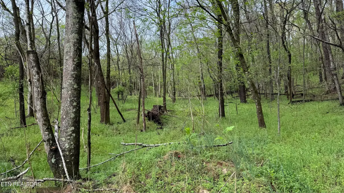 00 Mary Lane, Rutledge, TN 37861 - #1