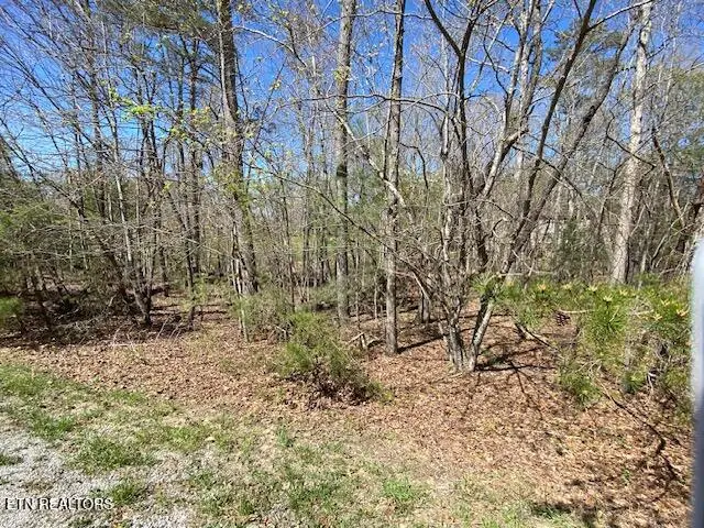 Mariners Point, Fairfield Glade, TN 38558 - #2