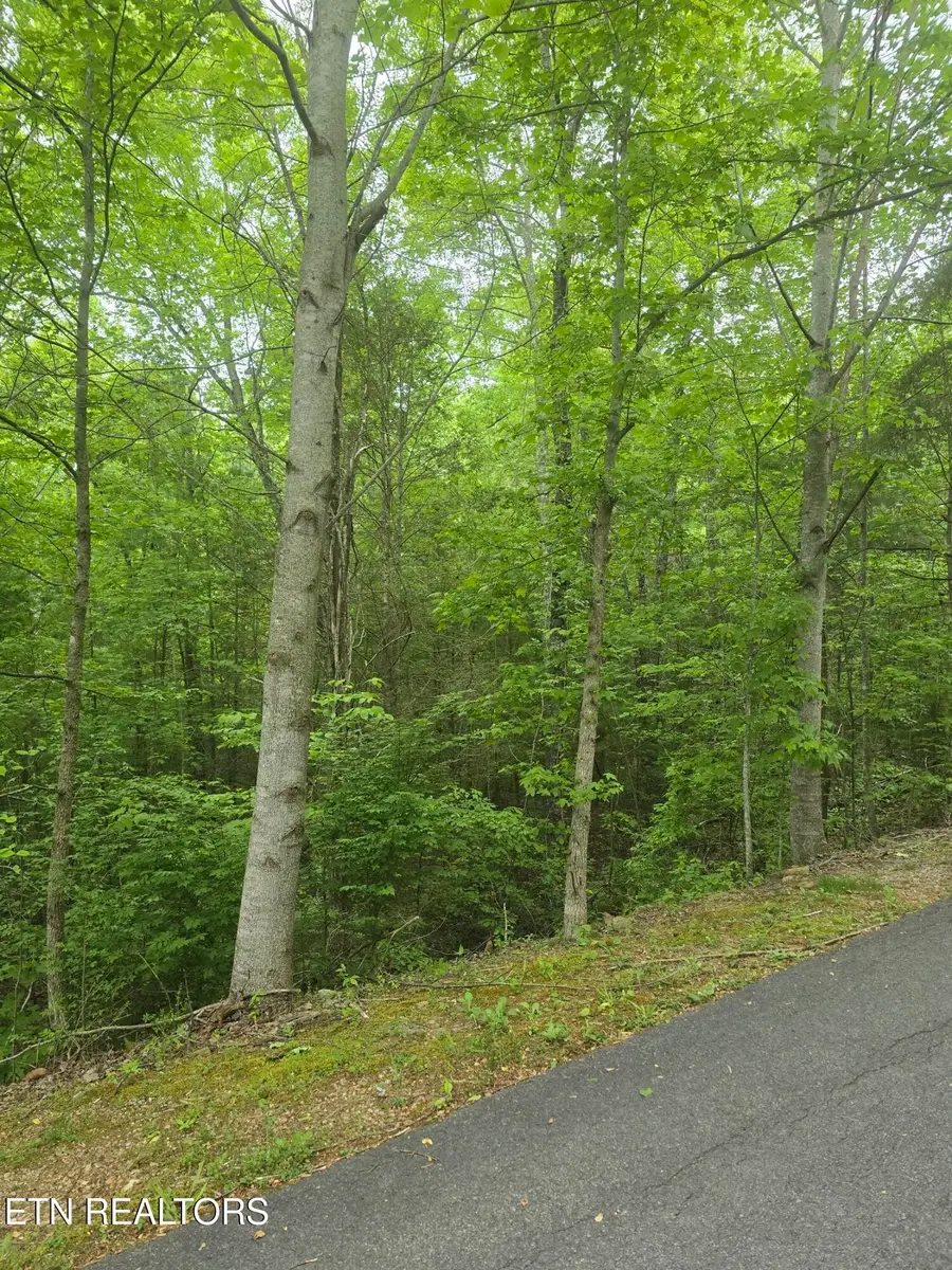 LOT 120 Lower Bluff Way, Sevierville, TN 37862 - #2