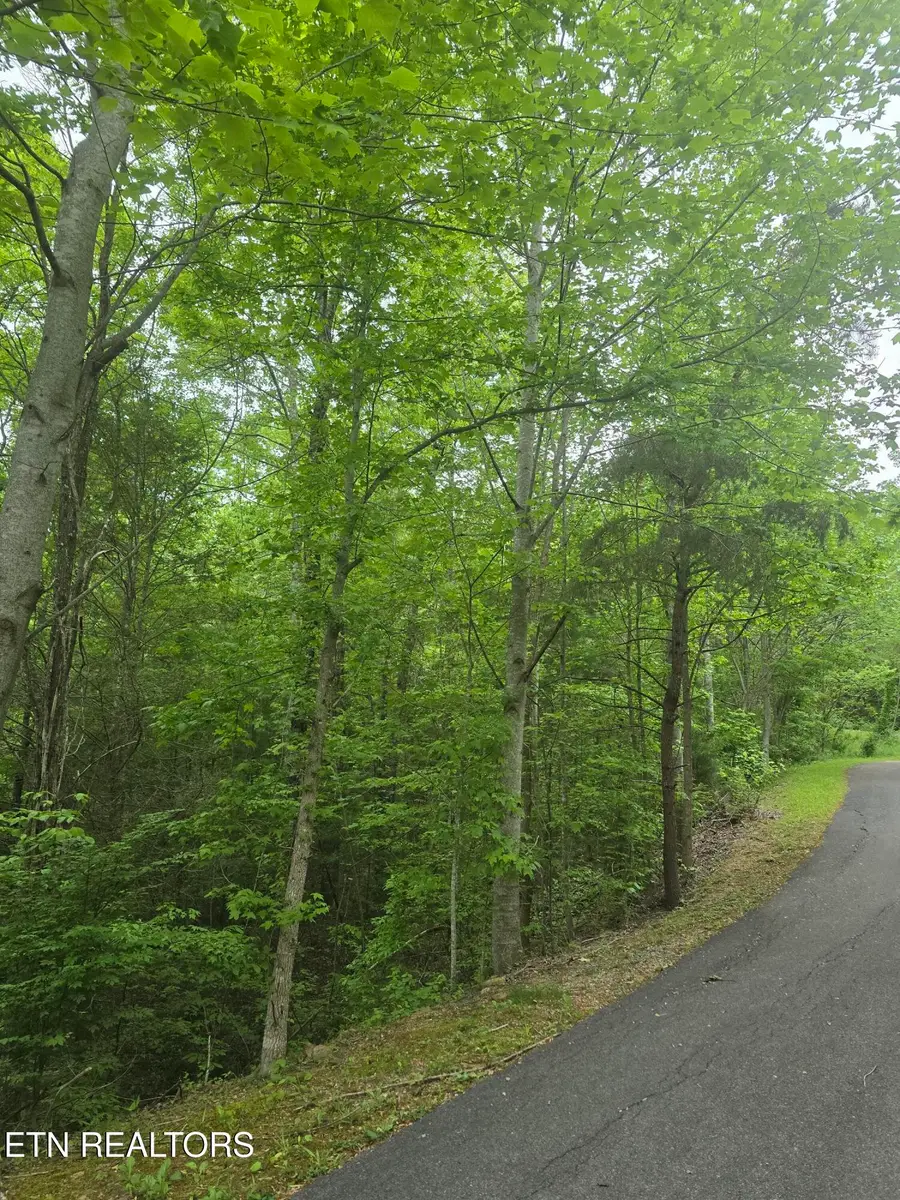 LOT 120 Lower Bluff Way, Sevierville, TN 37862 - #3