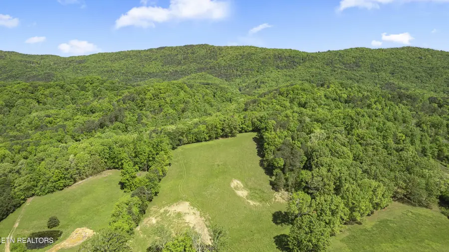 3419 Rutledge Pike, Blaine, TN 37709 - #2