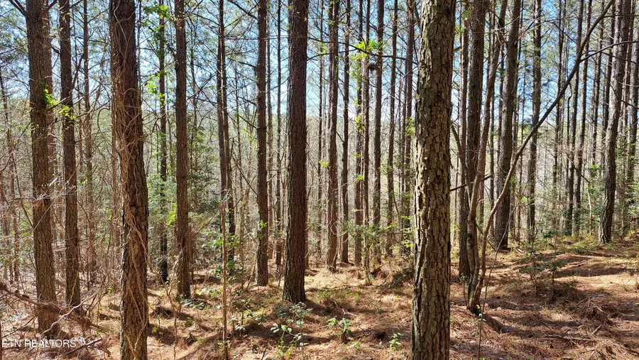 Airport Rd - Lot 23 (pca), Rockwood, TN 37854 - #2