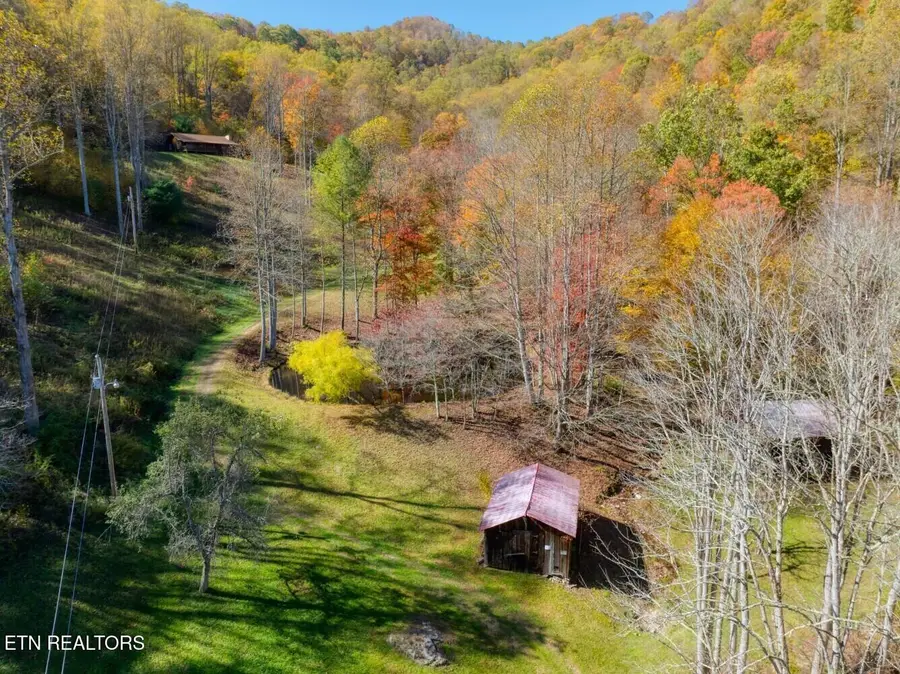 193 Smith Branch Rd, Roan Mountain, TN 37687 - #3
