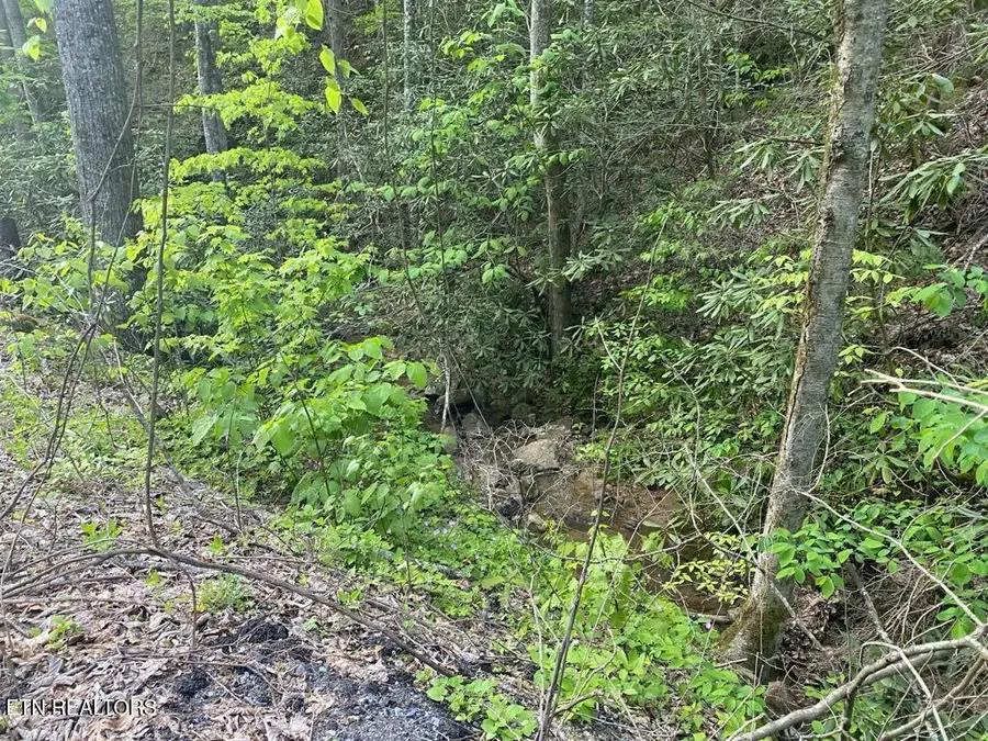 Lot 26 Alpine Drive, Sevierville, TN 37876 - #3