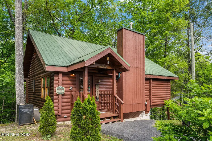 614 Hillbilly Haven Way, Gatlinburg, TN 37738 - #3