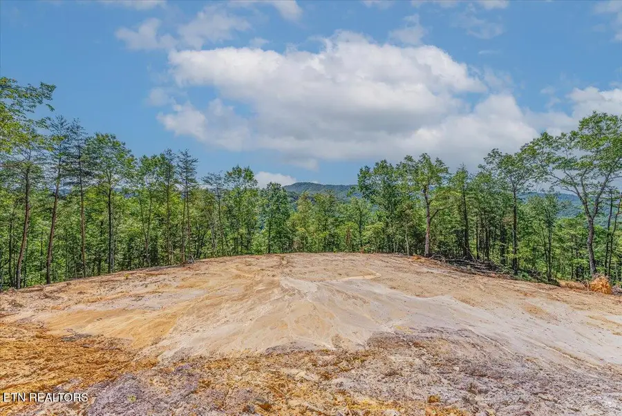 1200 Steer Creek Rd, Tellico Plains, TN 37385 - #2