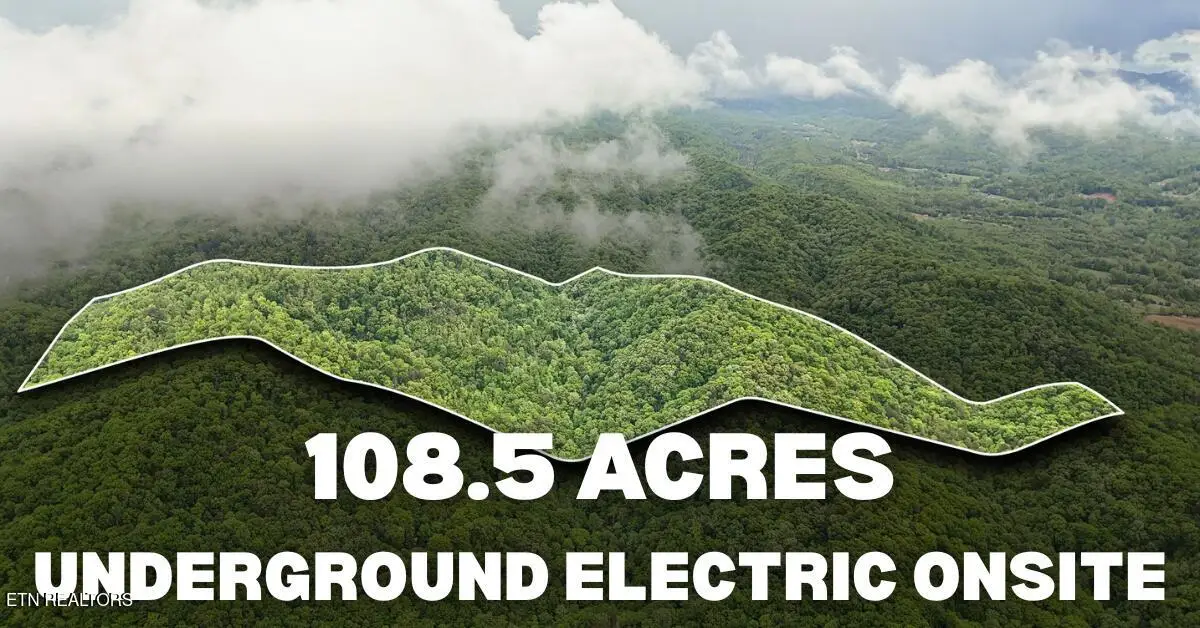 201 Birch Hollow Rd, Maynardville, TN 37807 - #1