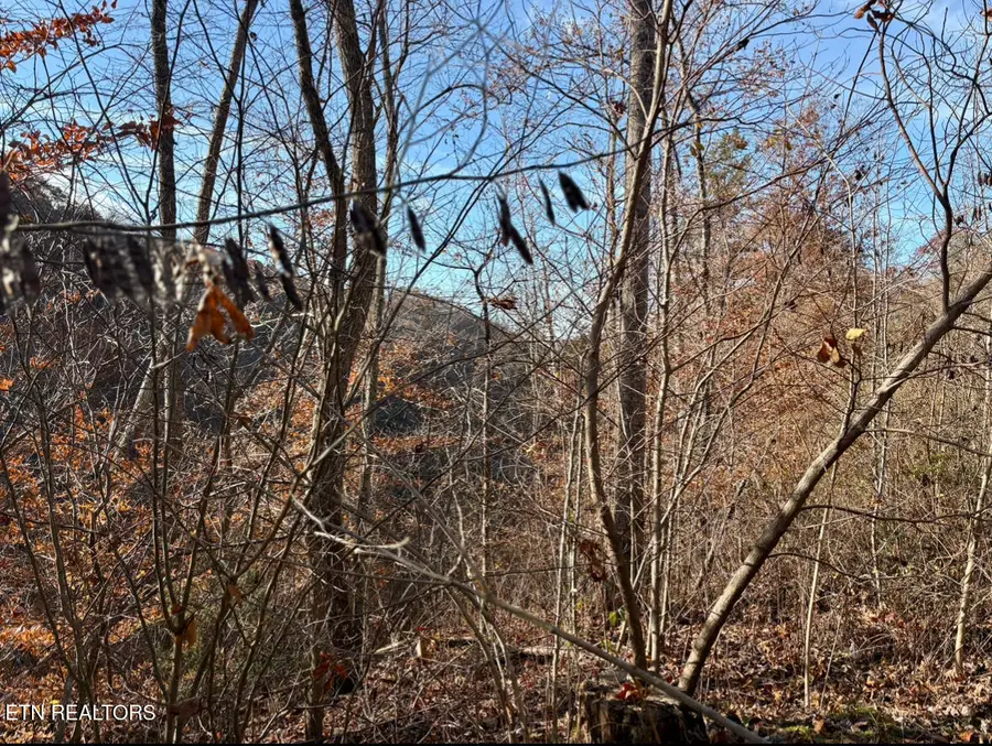 201 Birch Hollow Rd, Maynardville, TN 37807 - #3