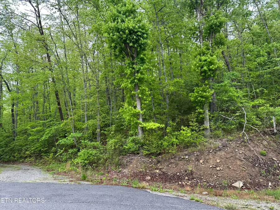 8472 Highway 25 W N, Duff, TN 37729 - #2