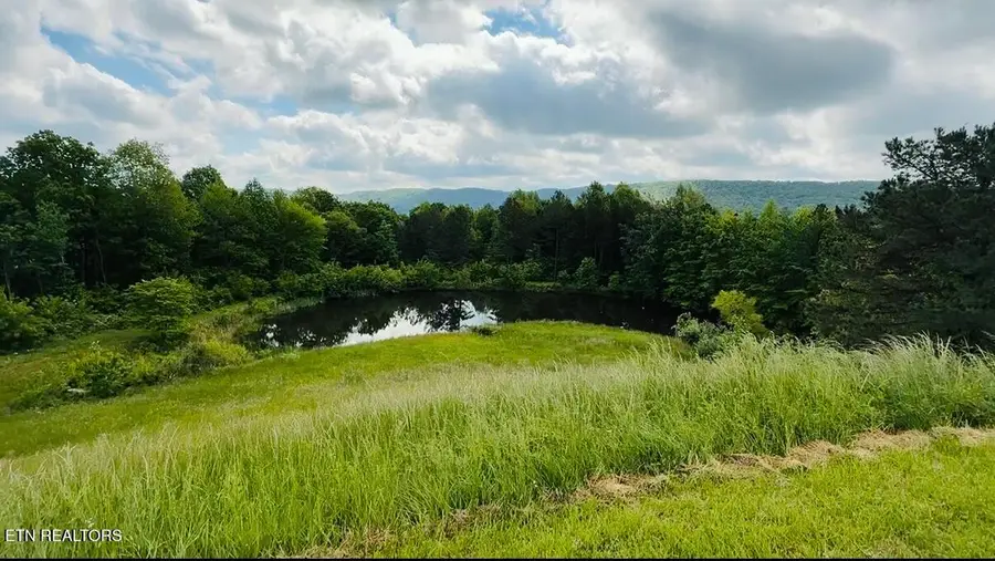 187 Grouse Lane, Pioneer, TN 37847 - #3